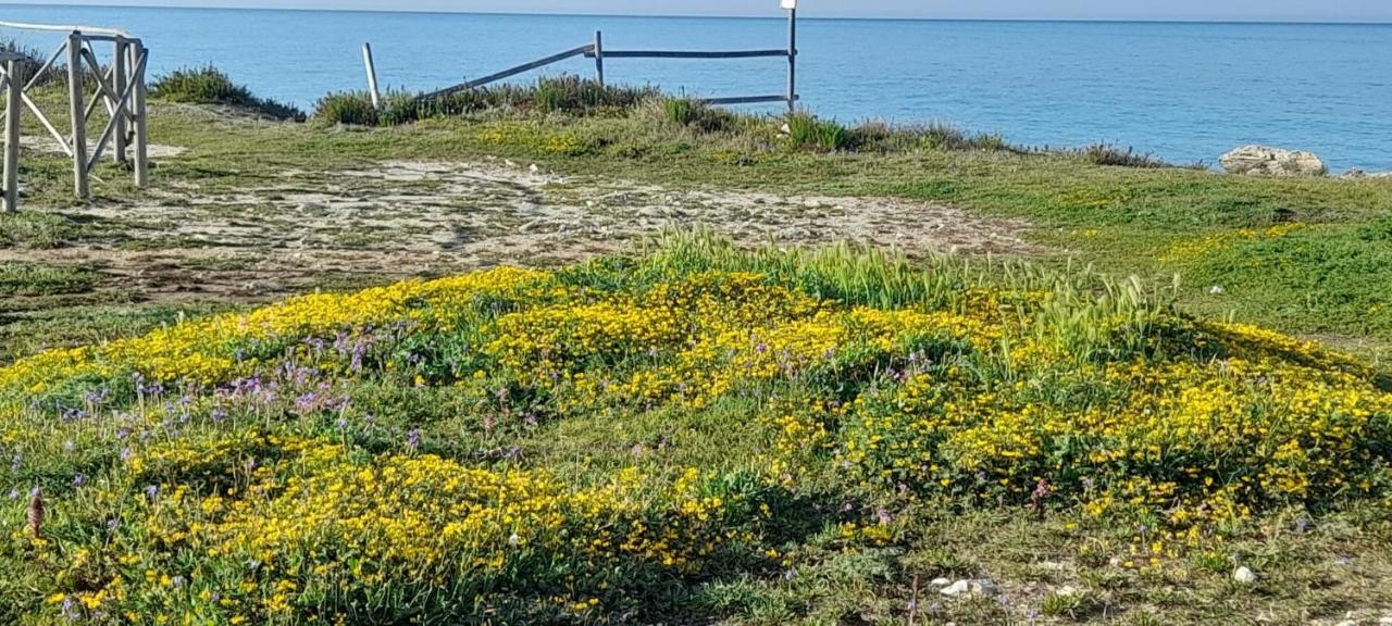 Villino Il Melograno Βίλα Torre Specchia Ruggeri Εξωτερικό φωτογραφία