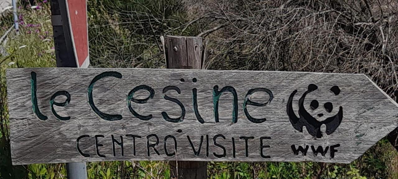 Villino Il Melograno Βίλα Torre Specchia Ruggeri Εξωτερικό φωτογραφία