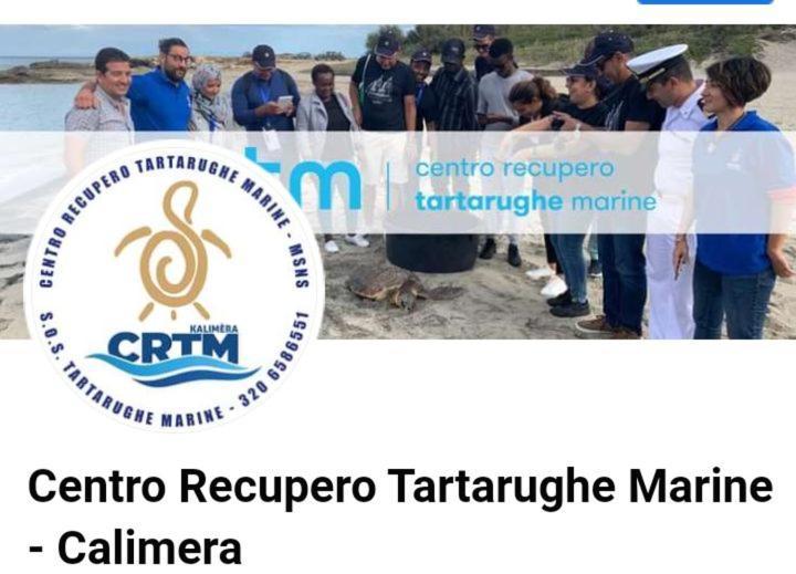 Villino Il Melograno Βίλα Torre Specchia Ruggeri Εξωτερικό φωτογραφία